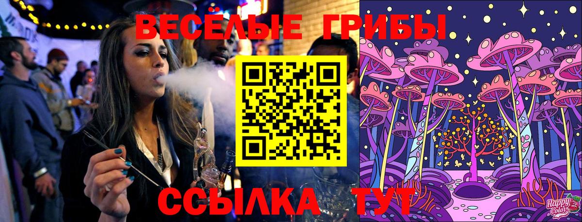 Кыштым  купить наркотик  Вход с VPN  Галлюциногенные грибы прущие грибы 