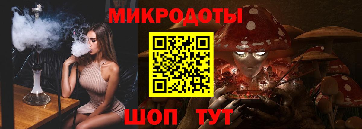 Галлюциногенные грибы Psilocybe Кыштым